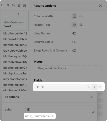 Using the query results panel to locate the names of a view and field